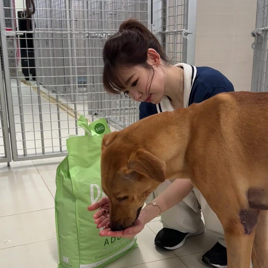 Buddy Bites at a partner shelter