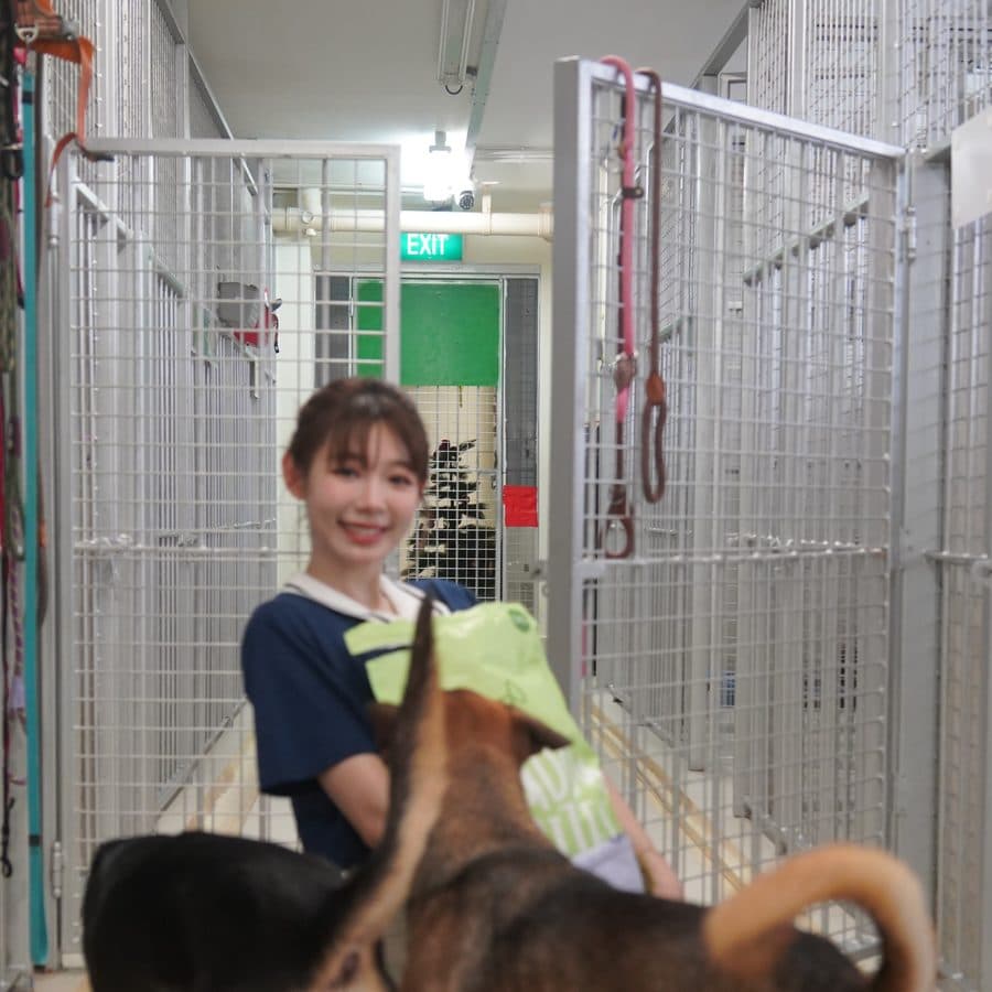 Buddy Bites at a partner shelter