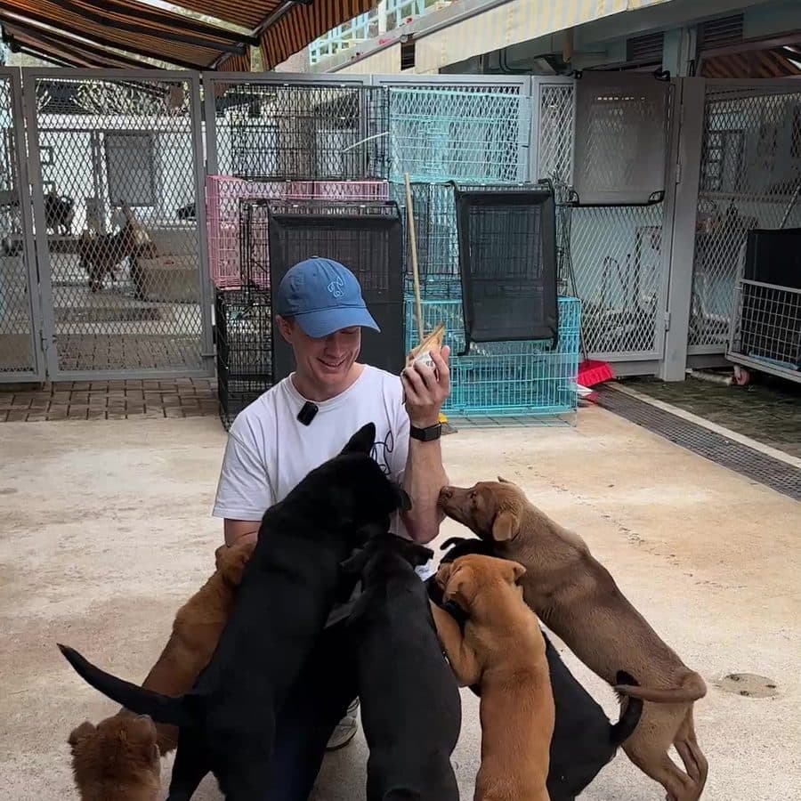 Buddy Bites at a partner shelter