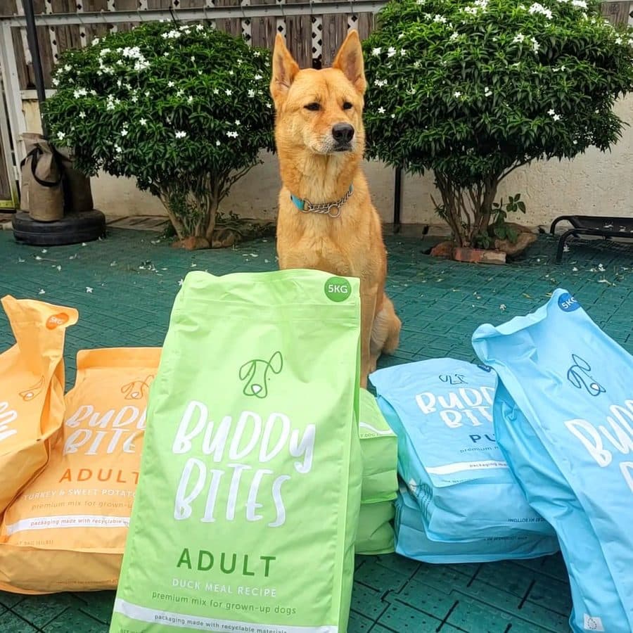 Buddy Bites at a partner shelter