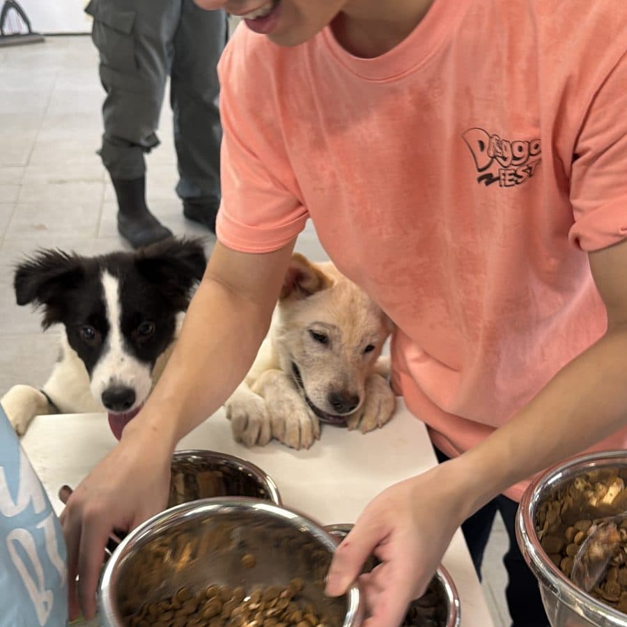 Buddy Bites at a partner shelter